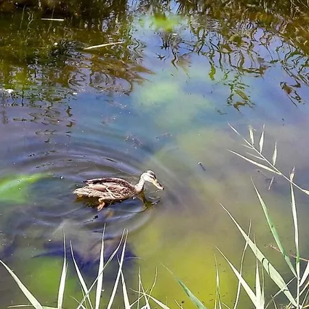 Sun, Sky And Sea アパート エスモリス
