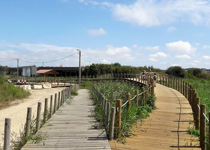 Daire Sun, Sky And Sea Esmoriz