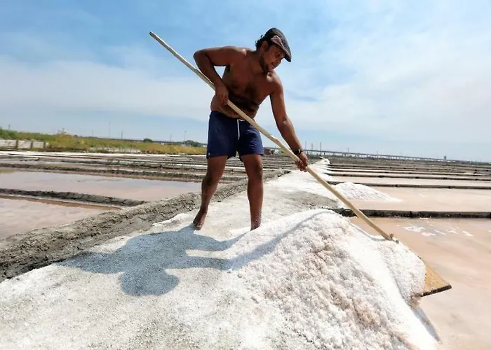 Daire Sun, Sky And Sea Esmoriz