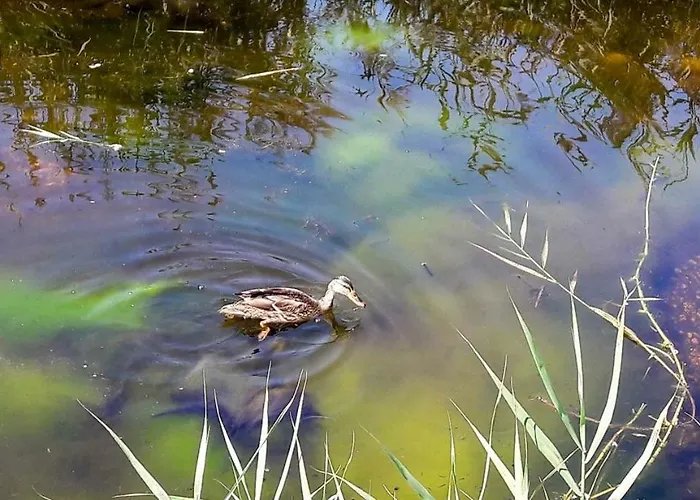 Sun, Sky And Sea Daire Esmoriz