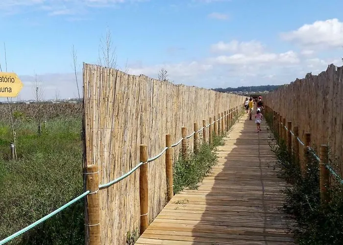 Sun, Sky And Sea Daire *